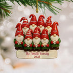 Personalized Gnome Family Christmas Ornament, Christmas Ornament For Family