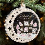 Newborn Birth Stats Ornament - Personalized Custom Acrylic Shaker Ornament